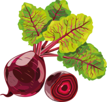 vegetables & Beet free transparent png image.