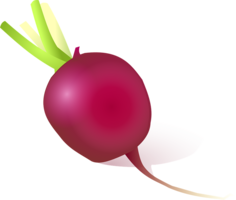 vegetables & beet free transparent png image.