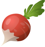 vegetables & Beet free transparent png image.