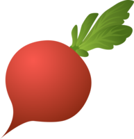 vegetables & Beet free transparent png image.