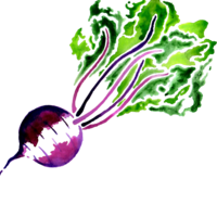 vegetables & Beet free transparent png image.