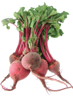 vegetables & beet free transparent png image.