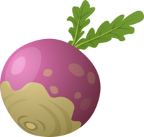 vegetables & Beet free transparent png image.