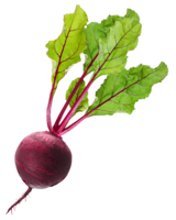 vegetables & beet free transparent png image.