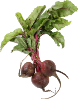 vegetables & Beet free transparent png image.