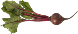 vegetables & Beet free transparent png image.