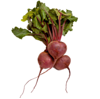 vegetables & Beet free transparent png image.