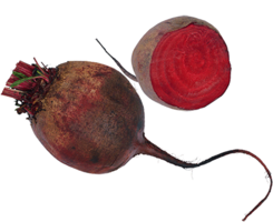 vegetables & beet free transparent png image.