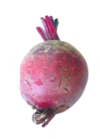 vegetables & beet free transparent png image.