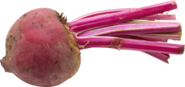 vegetables & Beet free transparent png image.