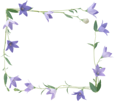 flowers & Bellflower free transparent png image.