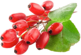 fruits & Berberis free transparent png image.