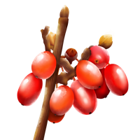 fruits & berberis free transparent png image.