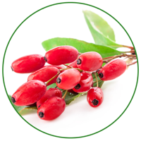 fruits & berberis free transparent png image.