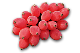 fruits & Berberis free transparent png image.