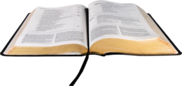 fantasy & holy bible free transparent png image.