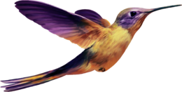 animals & birds free transparent png image.