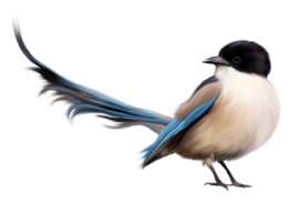 animals & birds free transparent png image.