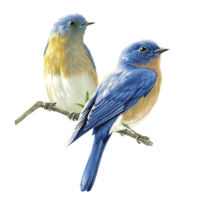 animals & birds free transparent png image.