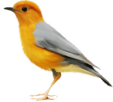 animals & birds free transparent png image.