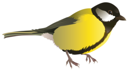 animals & birds free transparent png image.