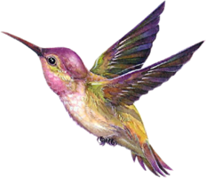 animals & birds free transparent png image.