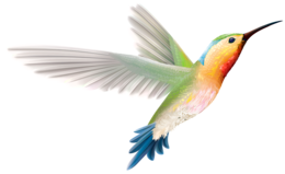 animals & birds free transparent png image.