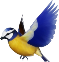 animals & birds free transparent png image.