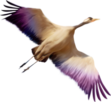 animals & birds free transparent png image.