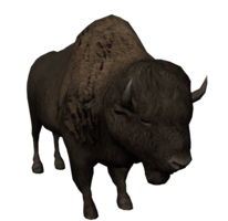 animals & bison free transparent png image.