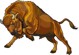 animals & Bison free transparent png image.