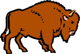 animals & bison free transparent png image.