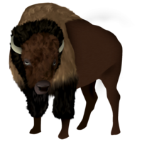 animals & bison free transparent png image.