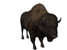 animals & bison free transparent png image.