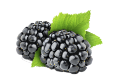 fruits&Blackberry png image.