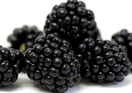 fruits & Blackberry free transparent png image.