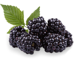 fruits & blackberry free transparent png image.