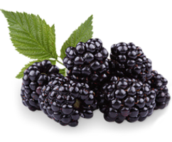 fruits & Blackberry free transparent png image.
