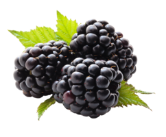 fruits & Blackberry free transparent png image.