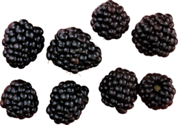 fruits & Blackberry free transparent png image.