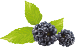 fruits & Blackberry free transparent png image.