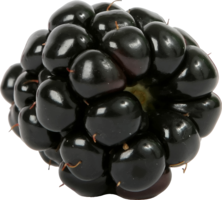 fruits & blackberry free transparent png image.