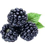 fruits & Blackberry free transparent png image.