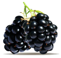 fruits & Blackberry free transparent png image.