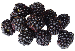 fruits & Blackberry free transparent png image.