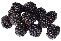 fruits & blackberry free transparent png image.