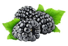 fruits & Blackberry free transparent png image.