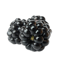 fruits & Blackberry free transparent png image.