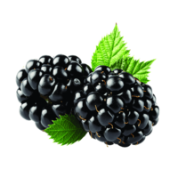 fruits & Blackberry free transparent png image.