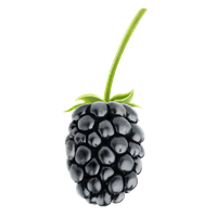 fruits & Blackberry free transparent png image.